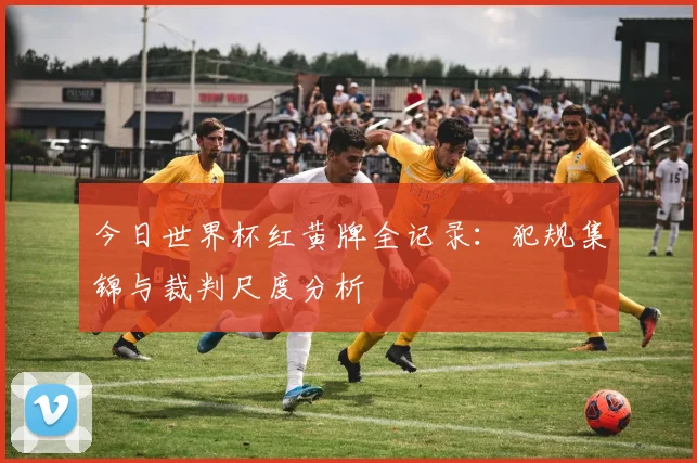 今日世界杯红黄牌全记录：犯规集锦与裁判尺度分析